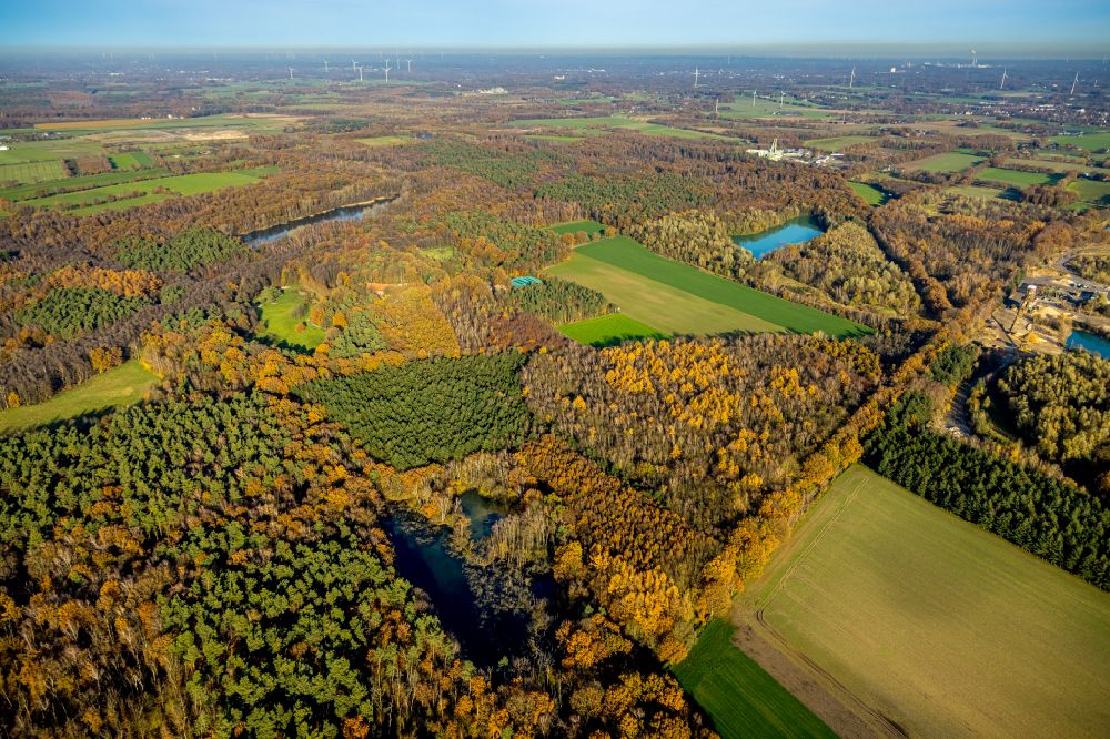 Kirchhellen von oben - Uferbereiche des Sees Elsbachsee in Kirchhellen im Bundesland Nordrhein-Westfalen, Deutschland