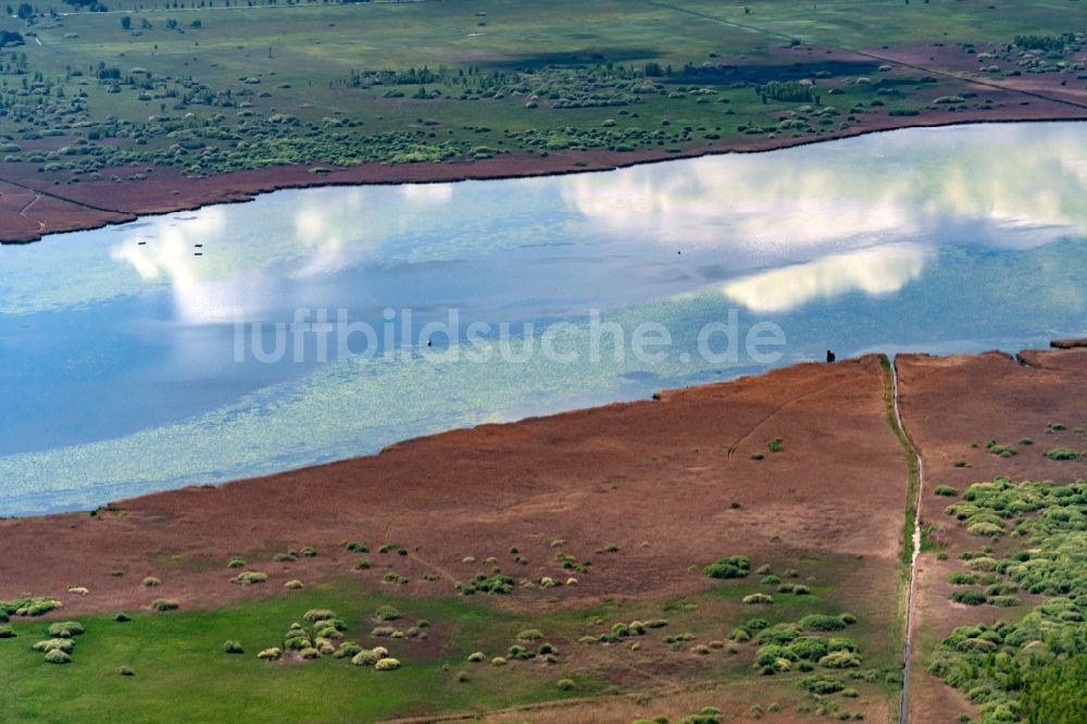 Luftbild Bad Buchau - Uferbereiche des Sees Federsee in Bad Buchau im Bundesland Baden-Württemberg, Deutschland