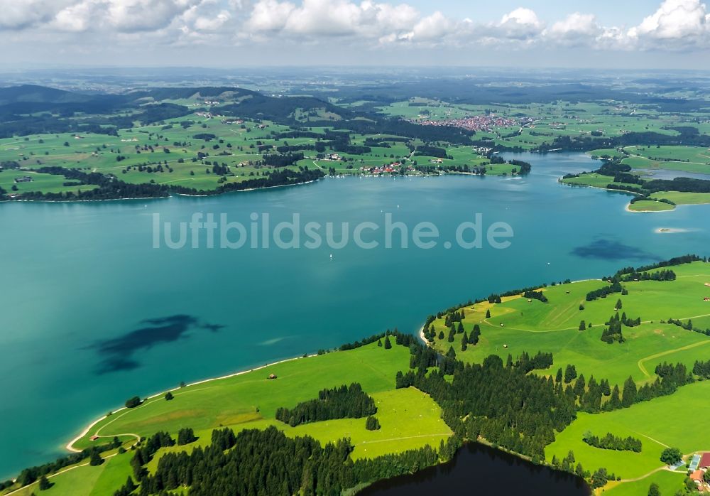 Luftaufnahme Schwangau - Uferbereiche des Sees Forggensee im Ortsteil Horn in Schwangau im Bundesland Bayern