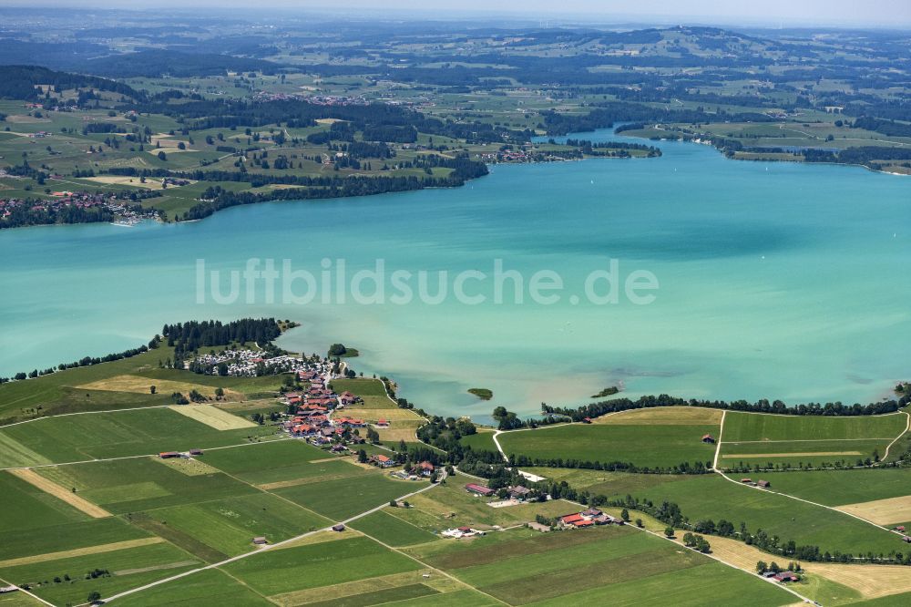 Luftbild Schwangau - Uferbereiche des Sees Forggensee im Ortsteil Horn in Schwangau im Bundesland Bayern