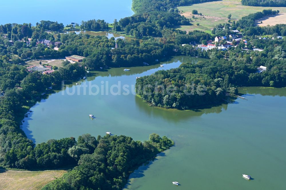 Werder (Havel) von oben - Uferbereiche des Sees Glindower See in Werder (Havel) im Bundesland Brandenburg, Deutschland