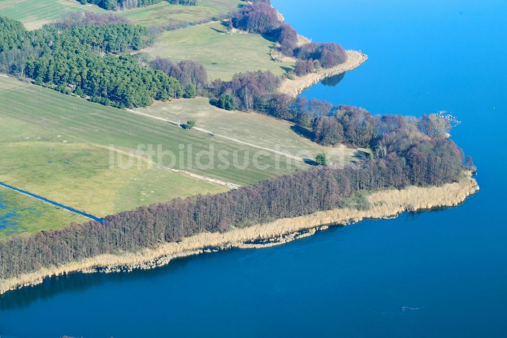 Tauche aus der Vogelperspektive: Uferbereiche des Sees Glower See in Tauche im Bundesland Brandenburg, Deutschland