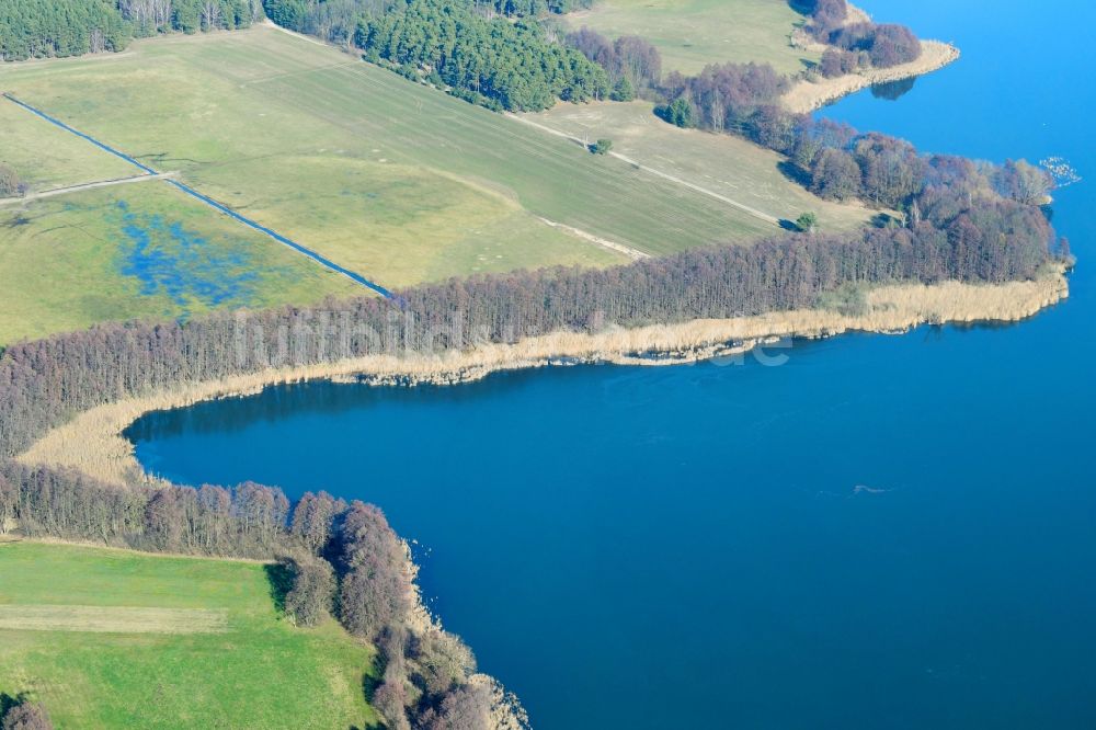 Luftbild Tauche - Uferbereiche des Sees Glower See in Tauche im Bundesland Brandenburg, Deutschland
