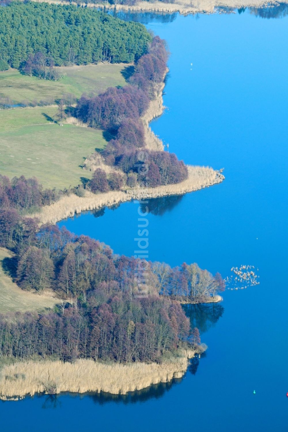 Luftaufnahme Tauche - Uferbereiche des Sees Glower See in Tauche im Bundesland Brandenburg, Deutschland