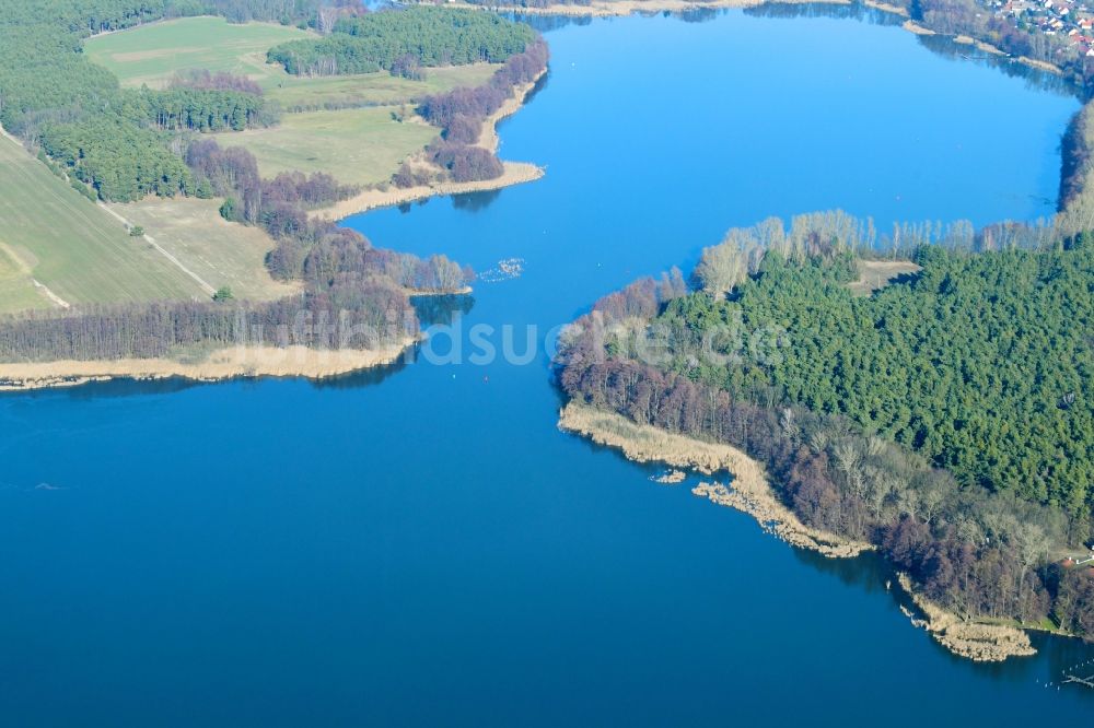 Tauche von oben - Uferbereiche des Sees Glower See in Tauche im Bundesland Brandenburg, Deutschland