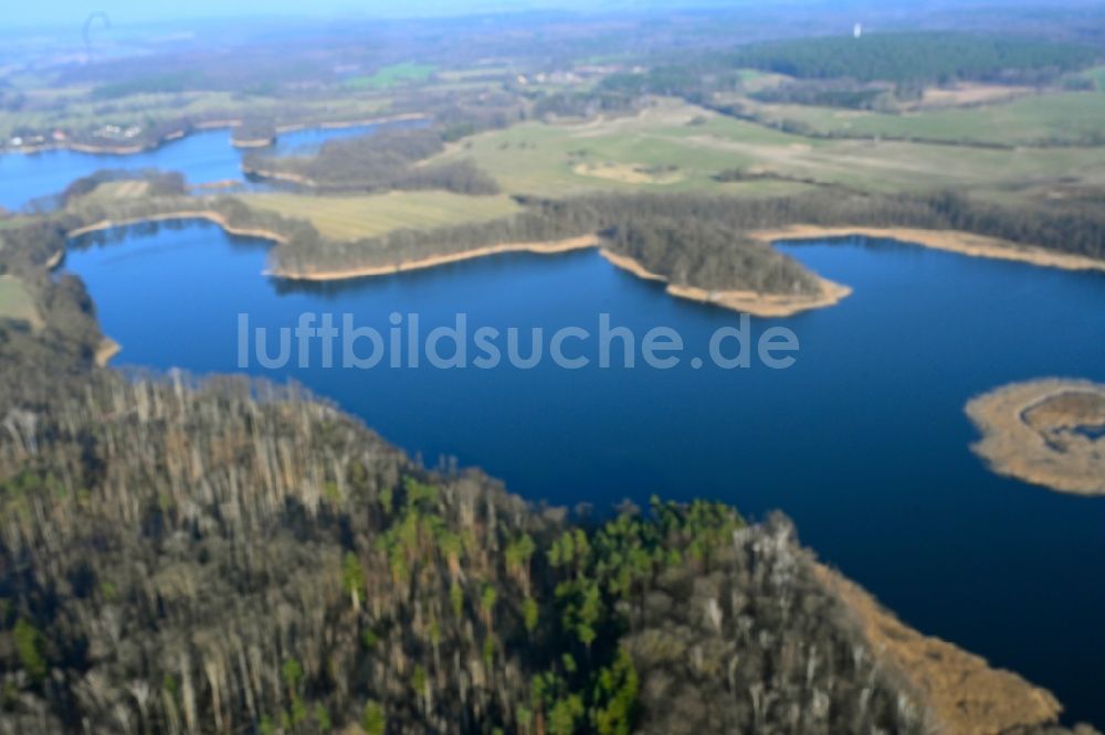 Hohenwalde von oben - Uferbereiche des Sees Großer Krinertsee in einem Waldgebiet in Hohenwalde im Bundesland Brandenburg, Deutschland