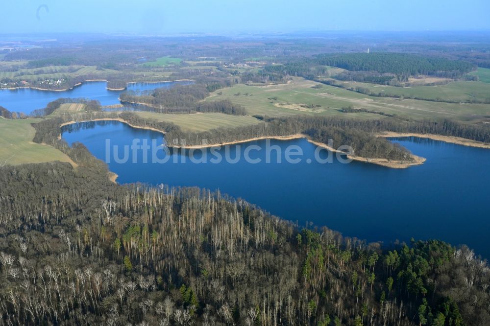 Luftbild Hohenwalde - Uferbereiche des Sees Großer Krinertsee in einem Waldgebiet in Hohenwalde im Bundesland Brandenburg, Deutschland