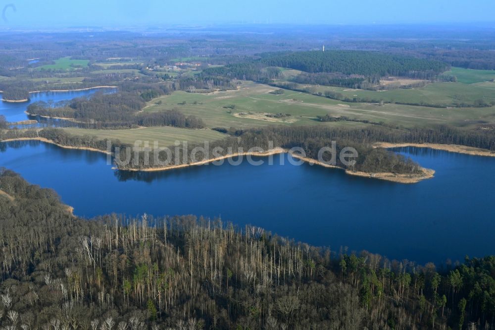 Luftaufnahme Hohenwalde - Uferbereiche des Sees Großer Krinertsee in einem Waldgebiet in Hohenwalde im Bundesland Brandenburg, Deutschland