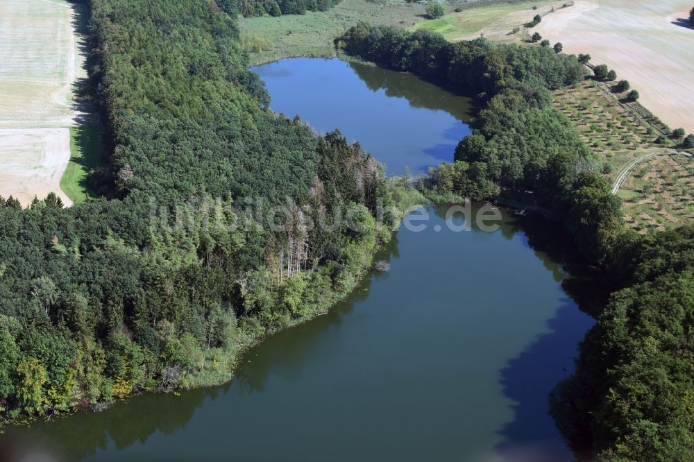 Luftbild Boitzenburger Land - Uferbereiche des Sees Großer Suckowsee in Boitzenburger Land im Bundesland Brandenburg
