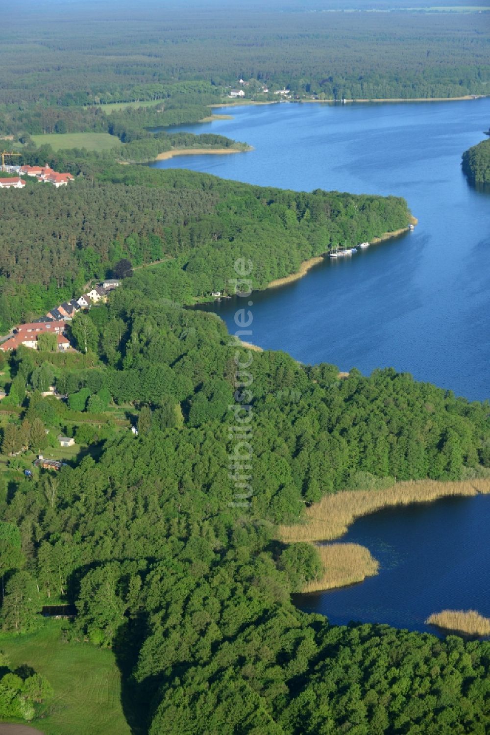 Luftaufnahme Lindow (Mark) - Uferbereiche des Sees Gudelacksee in Lindow (Mark) im Bundesland Brandenburg