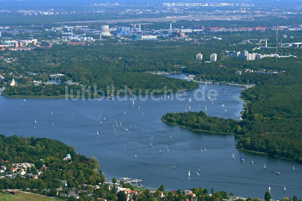 Luftbild Berlin - Uferbereiche des Sees der Havel in einem Waldgebiet in Berlin, Deutschland