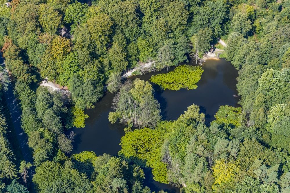 Luftbild Menden (Sauerland) - Uferbereiche des Sees des Hexenteich am Rothenberg in einem Waldgebiet in Menden (Sauerland) im Bundesland Nordrhein-Westfalen, Deutschland