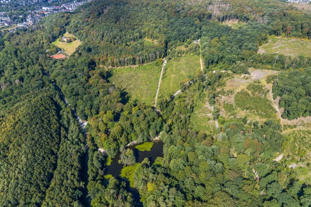 Luftaufnahme Menden (Sauerland) - Uferbereiche des Sees des Hexenteich am Rothenberg in einem Waldgebiet in Menden (Sauerland) im Bundesland Nordrhein-Westfalen, Deutschland