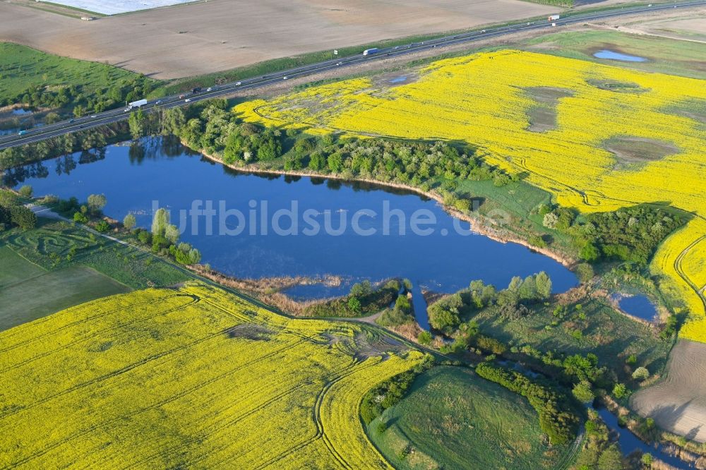 Oberkrämer aus der Vogelperspektive: Uferbereiche des Sees Karpfensee in Oberkrämer im Bundesland Brandenburg, Deutschland