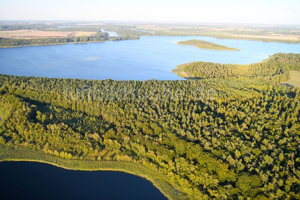 Luftbild Seedorf - Uferbereiche des Sees Küchensee in Seedorf im Bundesland Schleswig-Holstein, Deutschland