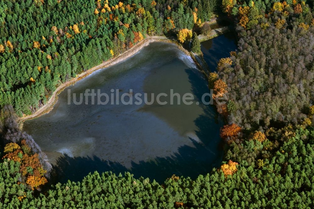 Wiesendorf aus der Vogelperspektive: Uferbereiche des Sees Kleiner Hofsee in einem Waldgebiet in Wiesendorf im Bundesland Bayern, Deutschland