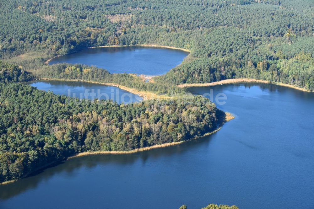 Luftaufnahme Münchehofe - Uferbereiche des Sees Klobichsee in Münchehofe im Bundesland Brandenburg, Deutschland