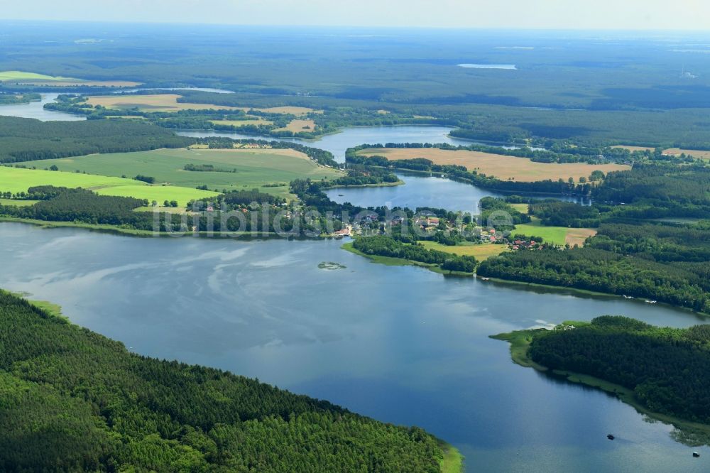 Canow aus der Vogelperspektive: Uferbereiche des Sees Labussee in einem Waldgebiet in Canow im Bundesland Mecklenburg-Vorpommern, Deutschland