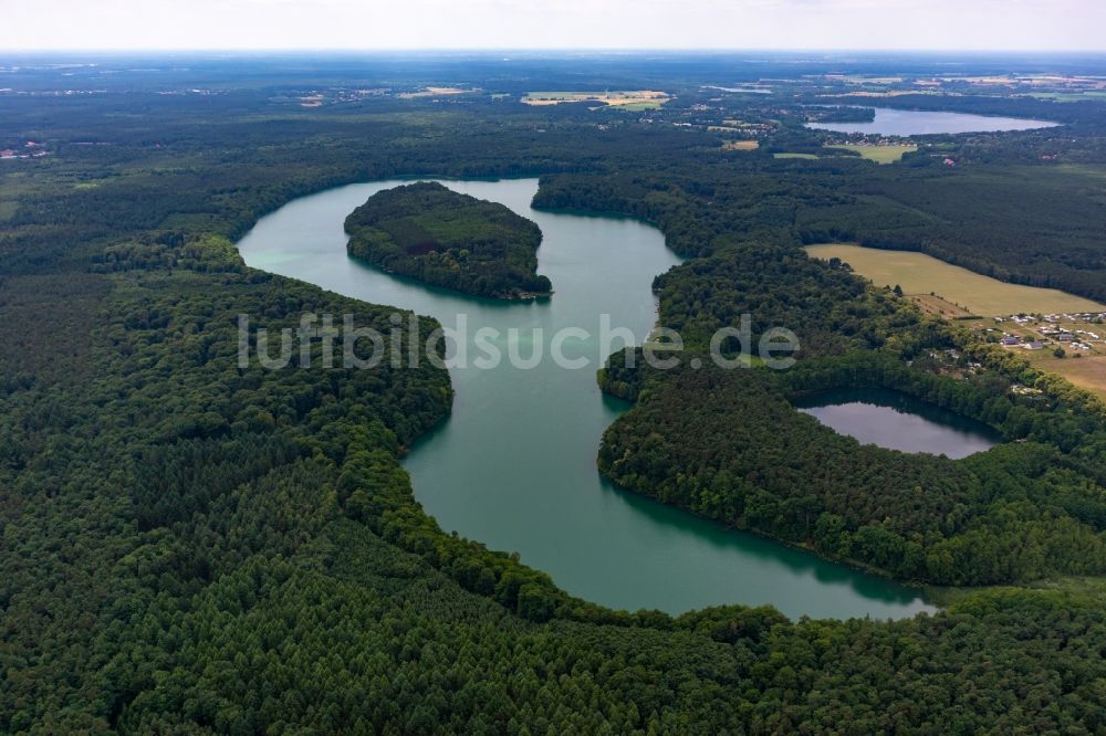 Wandlitz von oben - Uferbereiche des Sees Liepnitzsee in einem Waldgebiet in Wandlitz im Bundesland Brandenburg, Deutschland