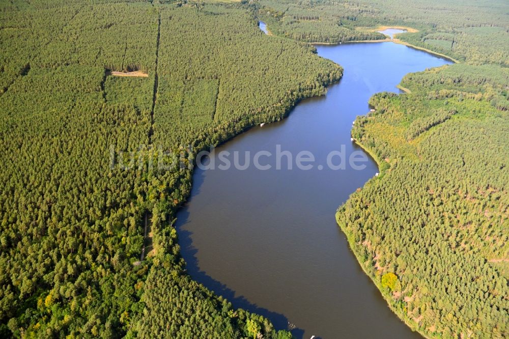 Luftaufnahme Alt Ruppin - Uferbereiche des Sees Möllensee in einem Waldgebiet in Alt Ruppin im Bundesland Brandenburg, Deutschland