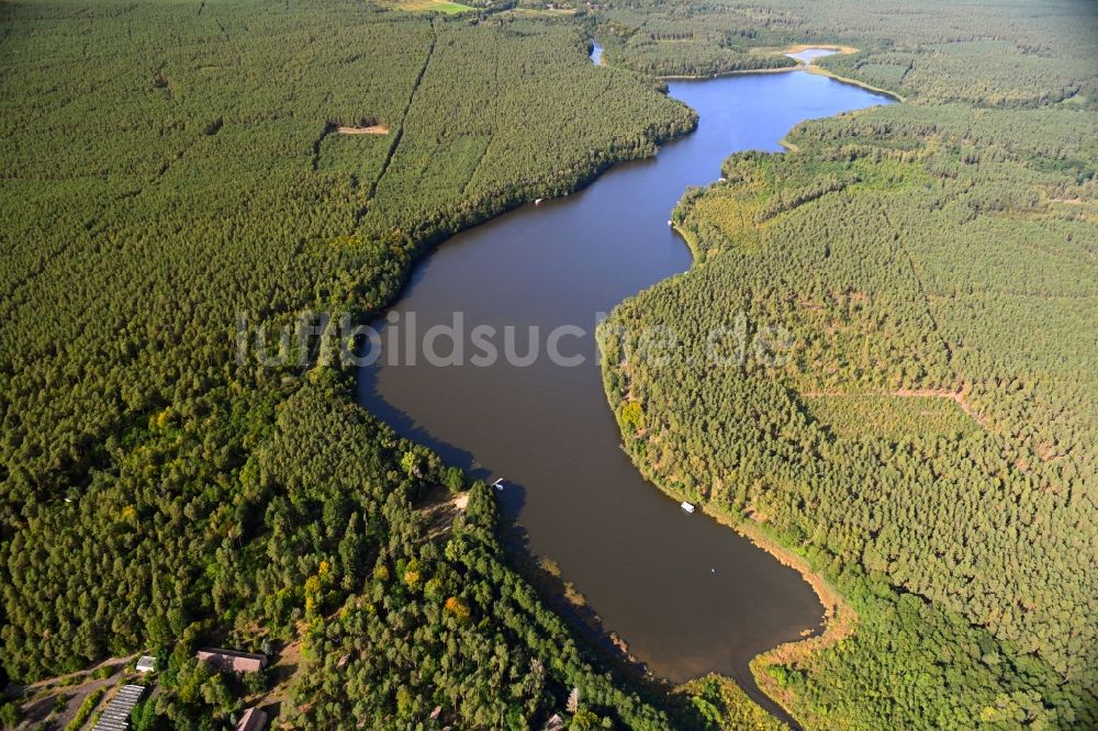 Alt Ruppin von oben - Uferbereiche des Sees Möllensee in einem Waldgebiet in Alt Ruppin im Bundesland Brandenburg, Deutschland
