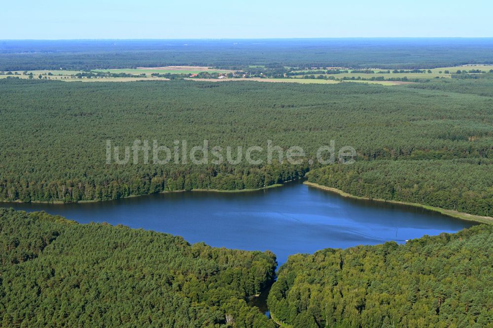 Alt Ruppin aus der Vogelperspektive: Uferbereiche des Sees Möllensee in einem Waldgebiet in Alt Ruppin im Bundesland Brandenburg, Deutschland