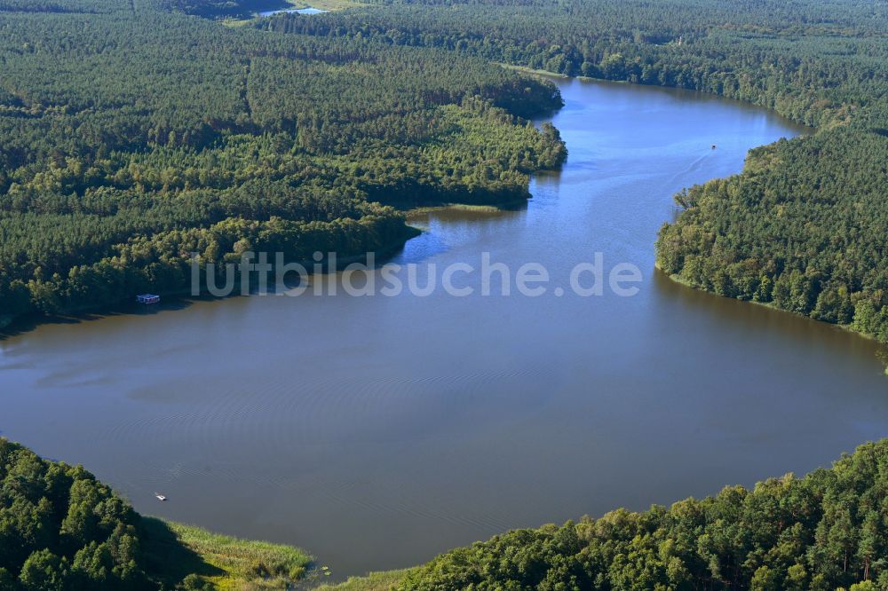 Alt Ruppin aus der Vogelperspektive: Uferbereiche des Sees Möllensee in einem Waldgebiet in Alt Ruppin im Bundesland Brandenburg, Deutschland