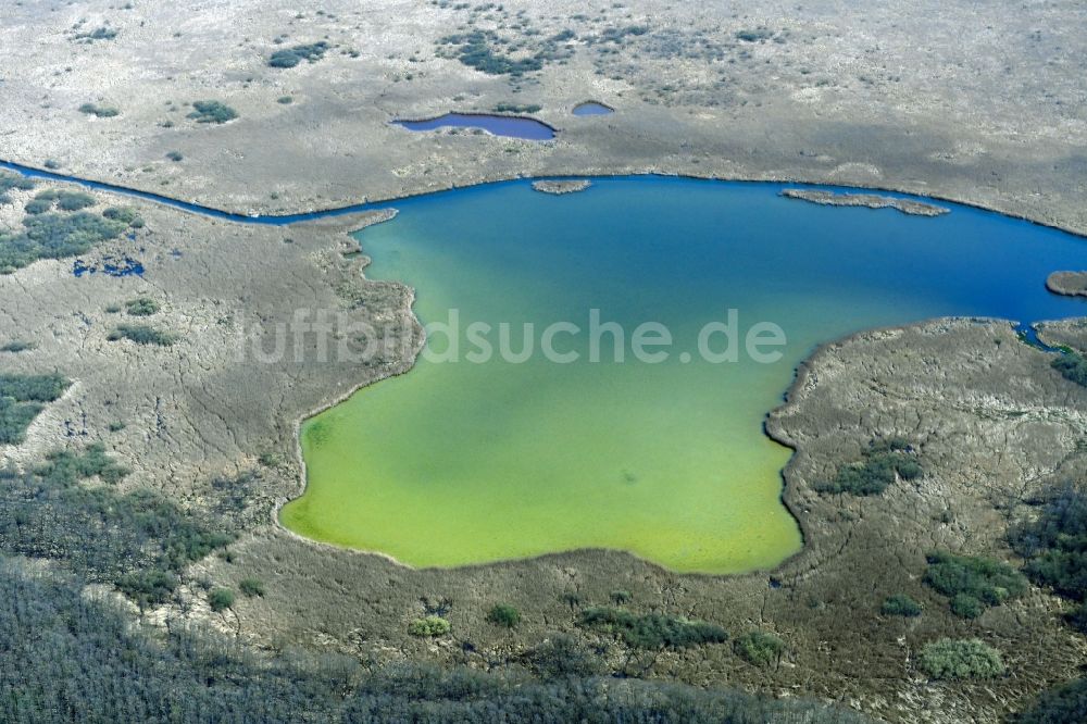Strehlow aus der Vogelperspektive: Uferbereiche des Sees Möllensee in Strehlow im Bundesland Brandenburg, Deutschland