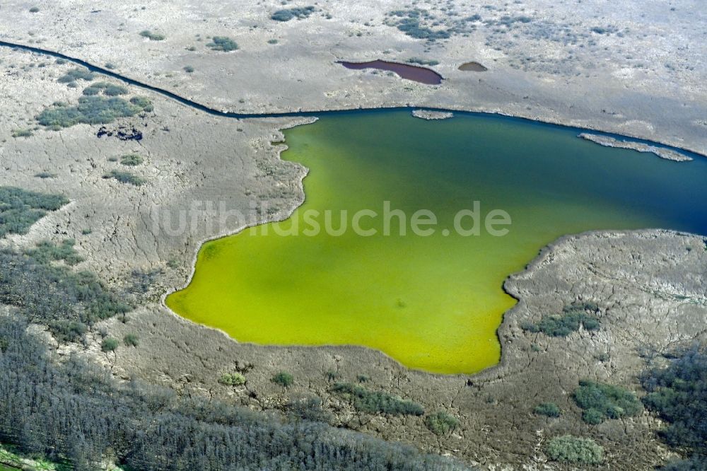 Luftbild Strehlow - Uferbereiche des Sees Möllensee in Strehlow im Bundesland Brandenburg, Deutschland
