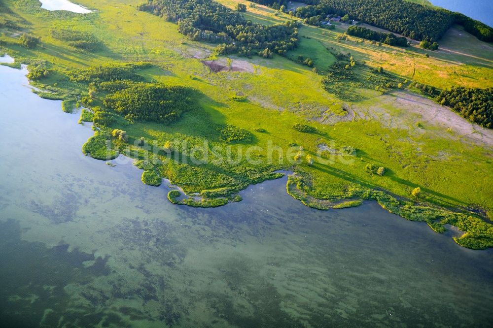 Varchentin von oben - Uferbereiche des Sees Müritz in Varchentin im Bundesland Mecklenburg-Vorpommern, Deutschland