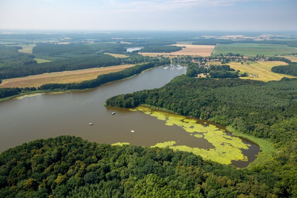 Buchholz von oben - Uferbereiche des Sees Müritzsee in Buchholz im Bundesland Mecklenburg-Vorpommern
