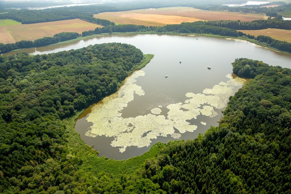 Buchholz aus der Vogelperspektive: Uferbereiche des Sees Müritzsee in Buchholz im Bundesland Mecklenburg-Vorpommern
