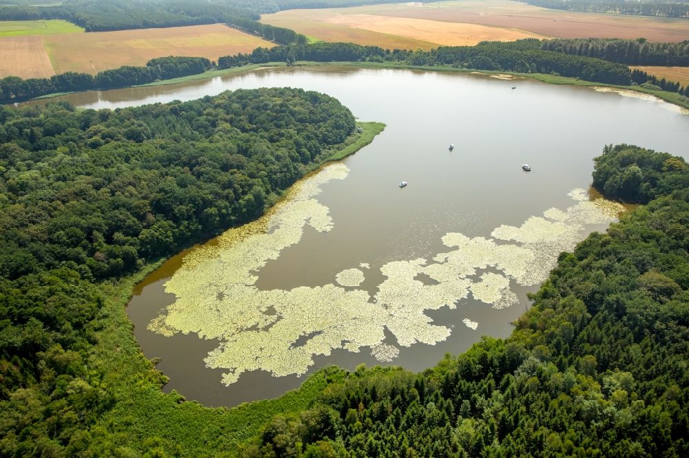 Luftbild Buchholz - Uferbereiche des Sees Müritzsee in Buchholz im Bundesland Mecklenburg-Vorpommern