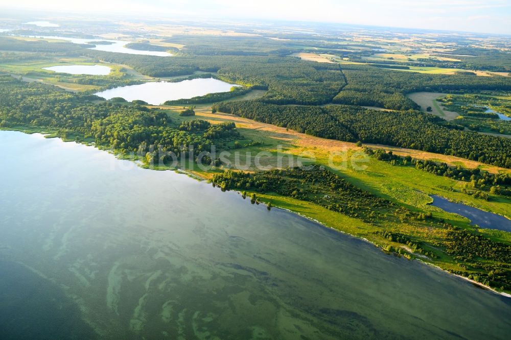Luftbild Varchentin - Uferbereiche des Sees Müritz in Varchentin im Bundesland Mecklenburg-Vorpommern, Deutschland