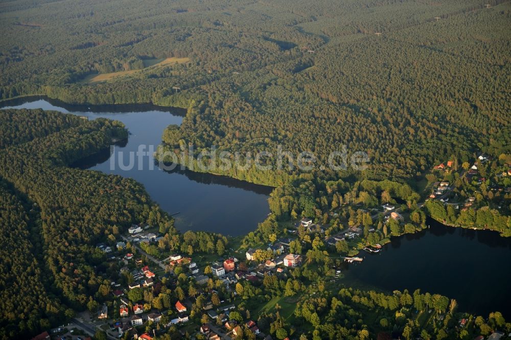 Luftbild Alt Buchhorst - Uferbereiche des Sees Peetzsee - Möllensee in Alt Buchhorst im Bundesland Brandenburg, Deutschland