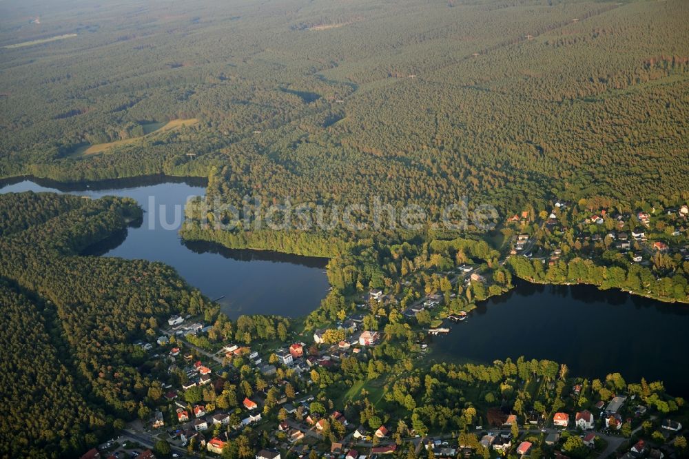 Alt Buchhorst von oben - Uferbereiche des Sees Peetzsee - Möllensee in Alt Buchhorst im Bundesland Brandenburg, Deutschland