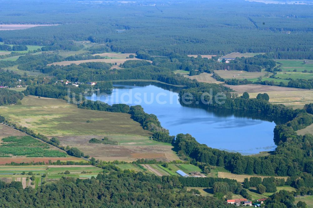 Luftbild Vietmannsdorf - Uferbereiche des Sees Polsensee in einem Waldgebiet in Vietmannsdorf im Bundesland Brandenburg, Deutschland