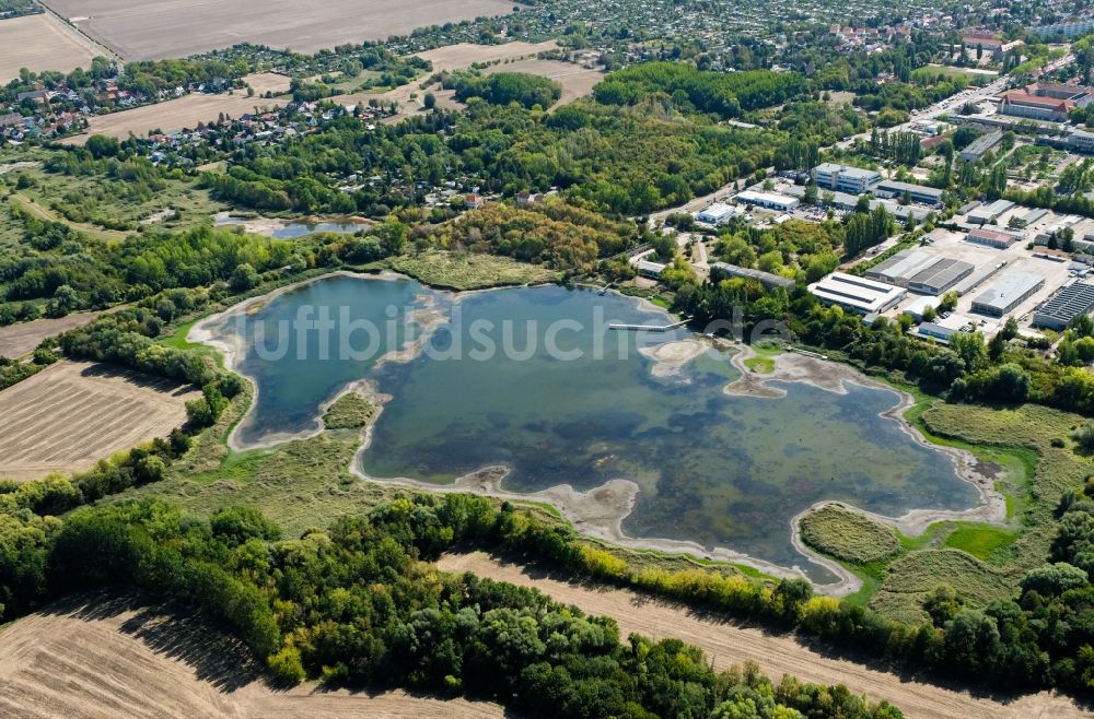 Luftbild Halle (Saale) - Uferbereiche des Sees Posthornteich im Ortsteil Frohe Zukunft in Halle (Saale) im Bundesland Sachsen-Anhalt, Deutschland