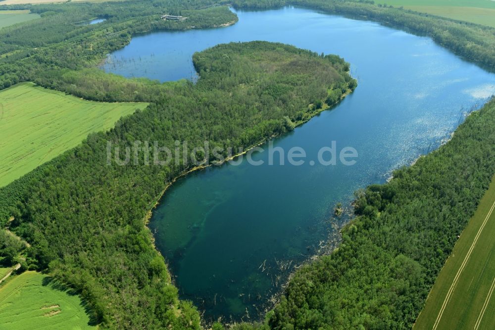 Luftaufnahme Rehmsdorf - Uferbereiche des Sees in Rehmsdorf im Bundesland Sachsen-Anhalt, Deutschland