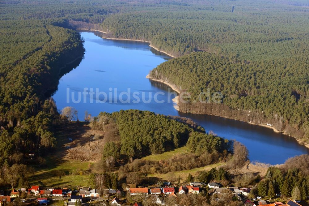 Luftbild Stechlin - Uferbereiche des Sees Roofensee in Stechlin im Bundesland Brandenburg, Deutschland