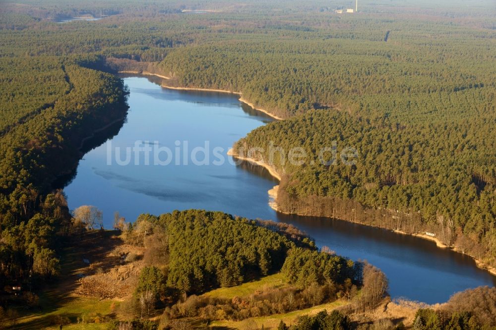 Luftaufnahme Stechlin - Uferbereiche des Sees Roofensee in Stechlin im Bundesland Brandenburg, Deutschland