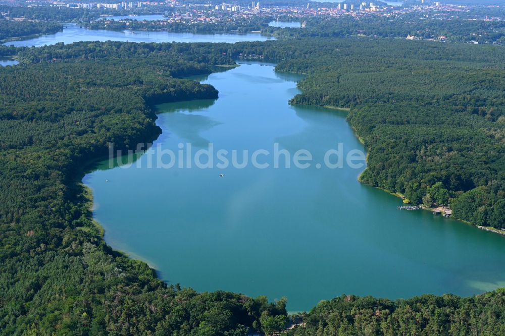 Luftaufnahme Potsdam - Uferbereiche des Sees Sacrower See und der Königswald in einem Waldgebiet in Potsdam im Bundesland Brandenburg, Deutschland
