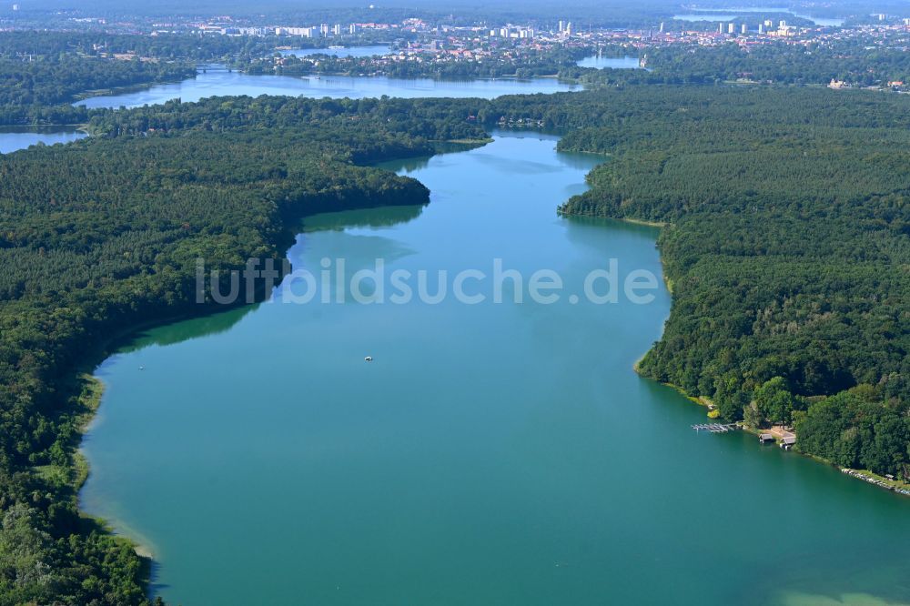 Potsdam von oben - Uferbereiche des Sees Sacrower See und der Königswald in einem Waldgebiet in Potsdam im Bundesland Brandenburg, Deutschland