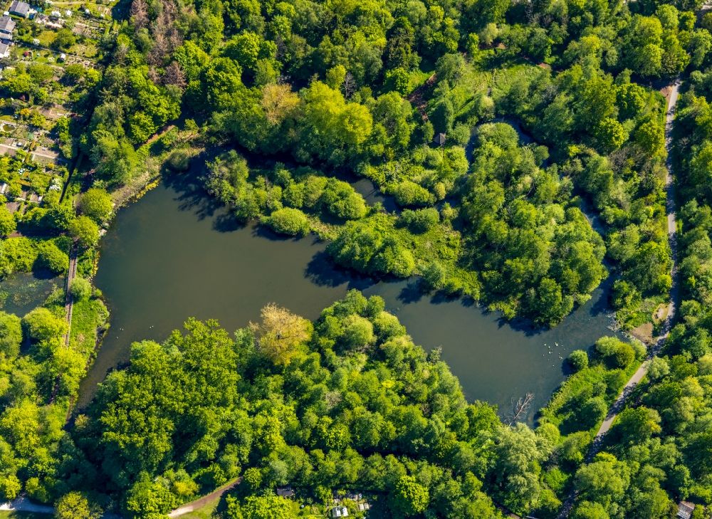 Luftaufnahme Münster - Uferbereiche des Sees Schilfsee im Nordpark auch Wienburgpark in Münster im Bundesland Nordrhein-Westfalen, Deutschland