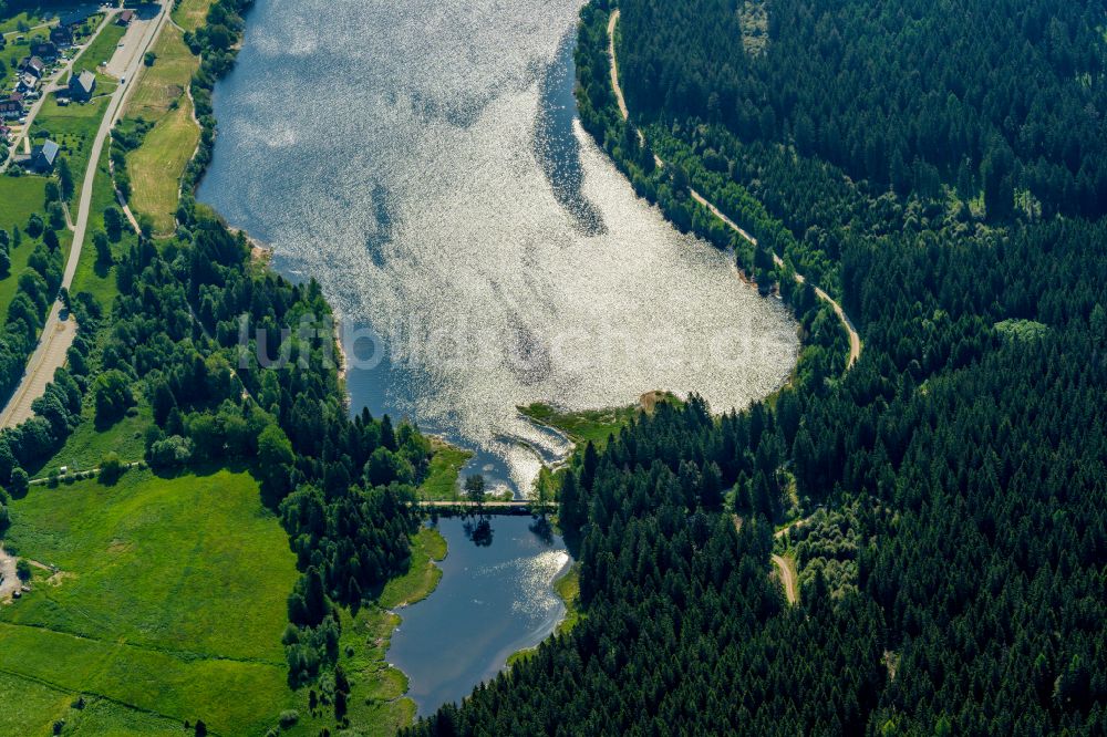 Schluchsee aus der Vogelperspektive: Uferbereiche des Sees Schluchsee Oberlauf in Schluchsee im Bundesland Baden-Württemberg, Deutschland