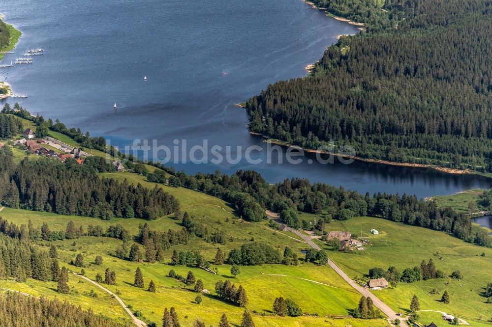 Luftaufnahme Schluchsee - Uferbereiche des Sees Schluchsee im Schwarzwald in einem Waldgebiet in Schluchsee im Bundesland Baden-Württemberg, Deutschland