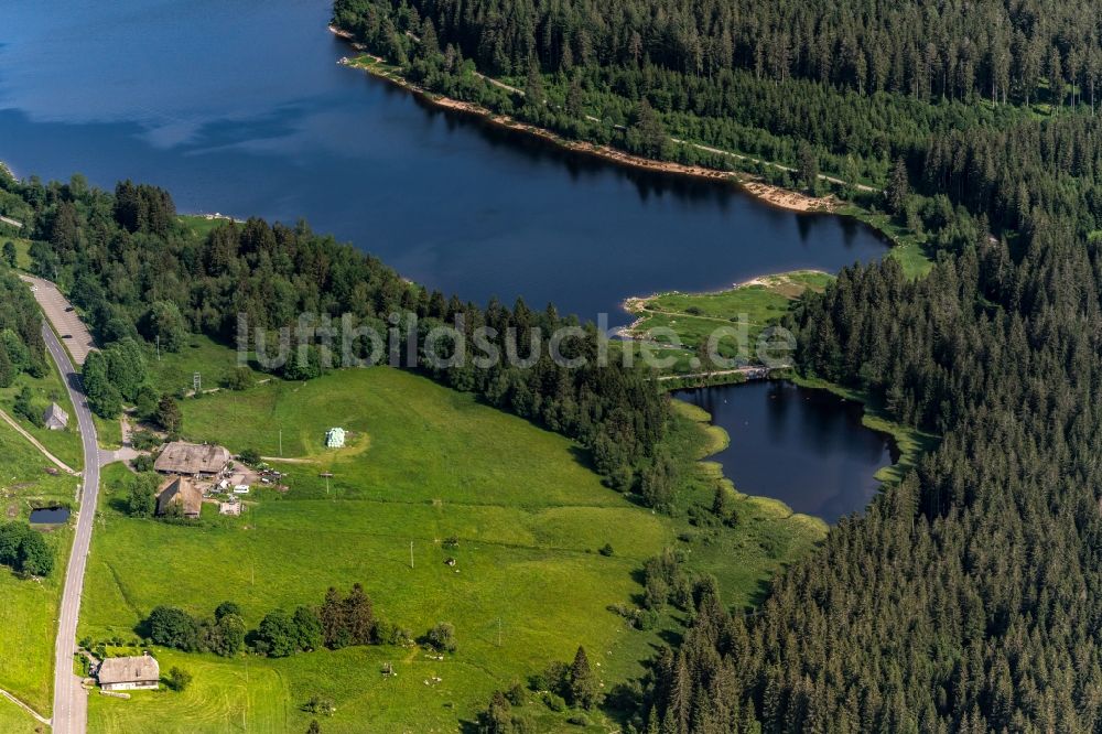 Schluchsee aus der Vogelperspektive: Uferbereiche des Sees Schluchsee im Schwarzwald in einem Waldgebiet in Schluchsee im Bundesland Baden-Württemberg, Deutschland