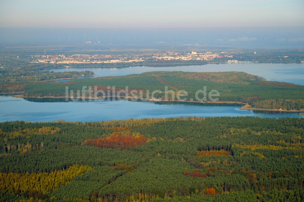 Luftbild Großkoschen - Uferbereiche des Sees Senftenberger See in Großkoschen im Bundesland Brandenburg, Deutschland