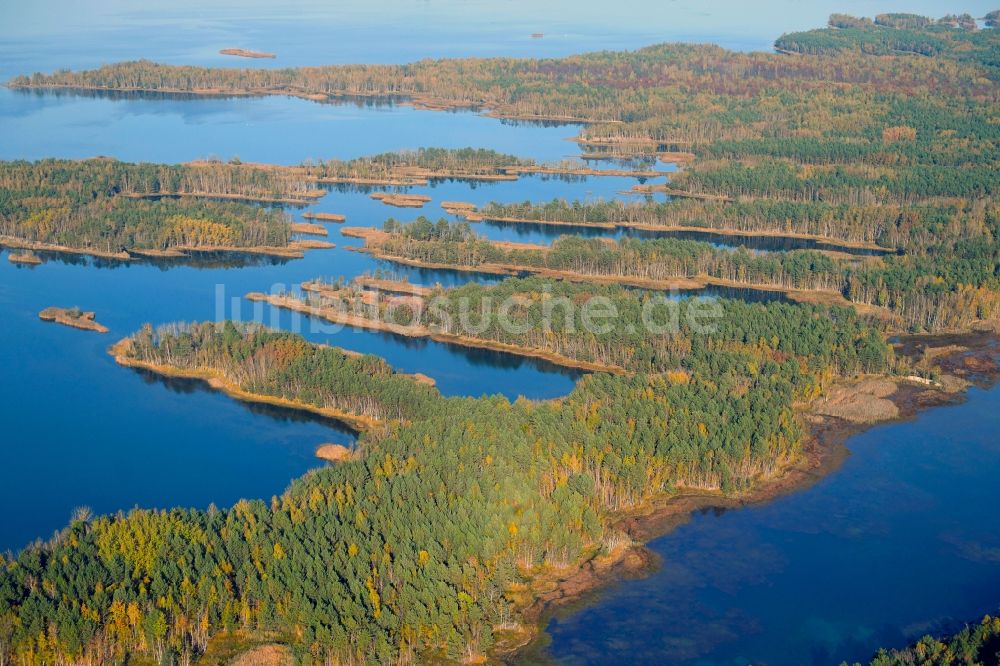 Luftbild Großkoschen - Uferbereiche des Sees Senftenberger See in Großkoschen im Bundesland Brandenburg, Deutschland