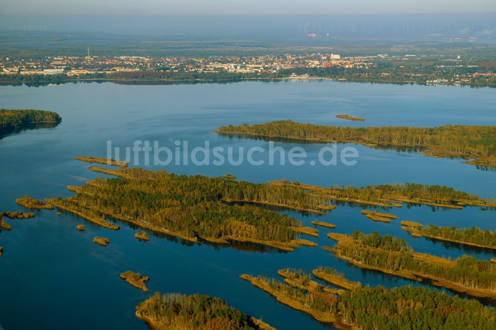 Großkoschen von oben - Uferbereiche des Sees Senftenberger See in Großkoschen im Bundesland Brandenburg, Deutschland